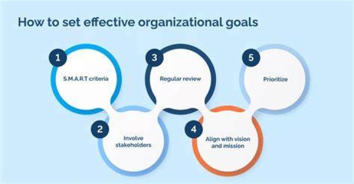 What are organizational goals and objectives?