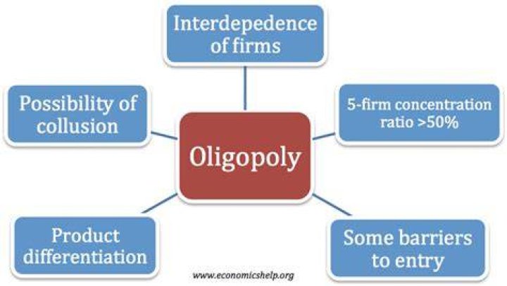 What is an oligopoly in economics?